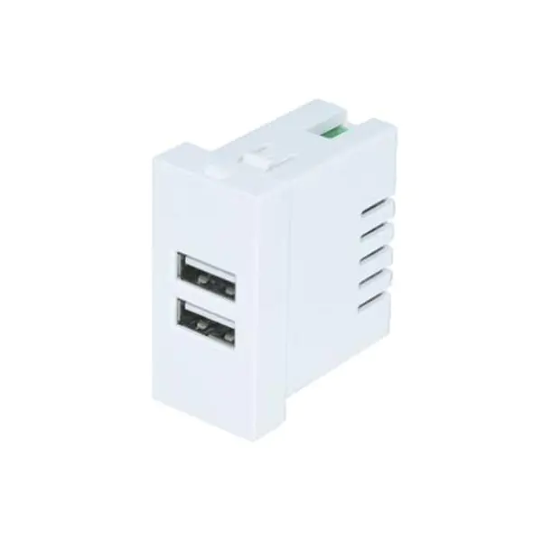 Dual Portus TypeA+A Usb Charger Socket OMNIBUS 2.1A